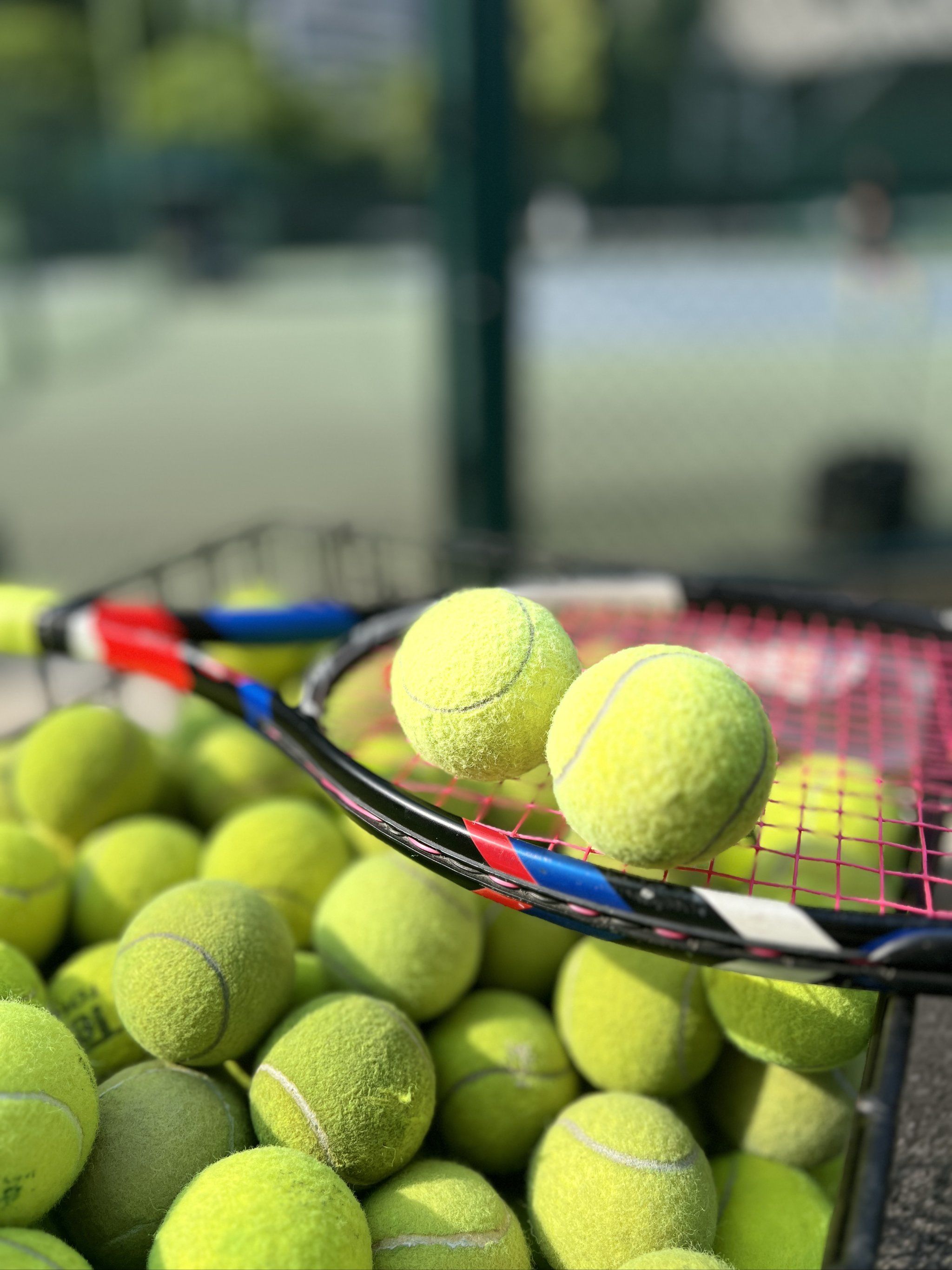 况的原因有 况的原因有