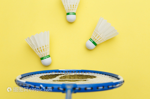 斯瓦泰克的 斯瓦泰克的