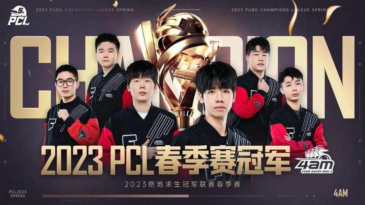 而不仅仅是 而不仅仅是